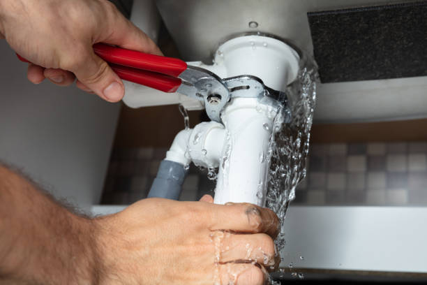 Best Water damage contractors near me  in Hallandale Beach, FL