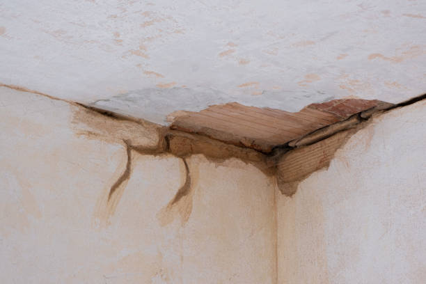 Best Fire Damage Restoration  in Hallandale Beach, FL