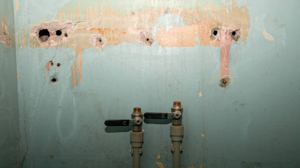 Best Basement water damage restoration  in Hallandale Beach, FL
